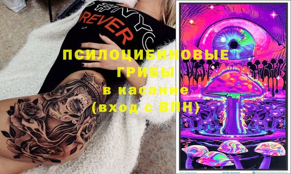 ешки Зерноград