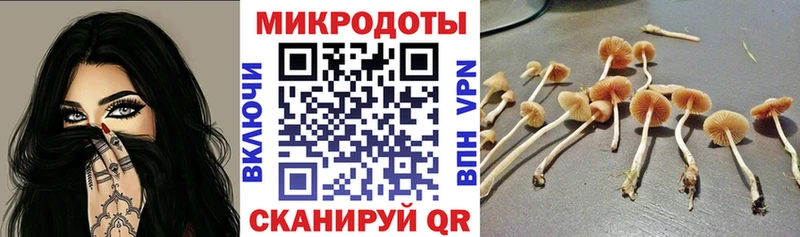 Купить где Бор Псилоцибиновые грибы MAGIC MUSHROOMS